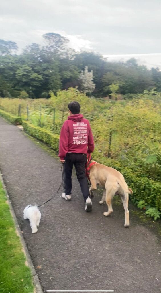 Pauline walking two dogs on a path through a green field