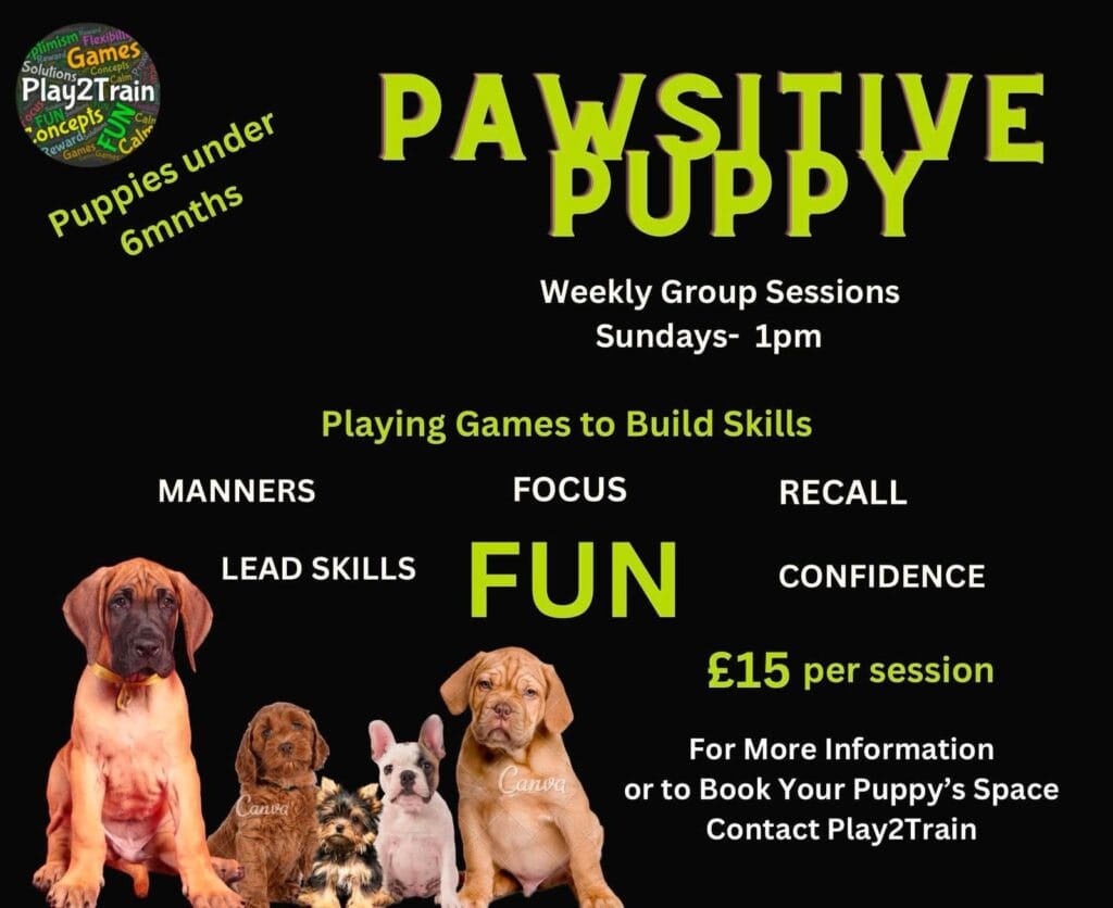 Poster promoting upcoming playful dog training class with Pauline