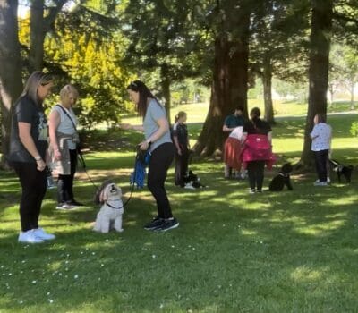 Group dog training session with owners in Dunfermline